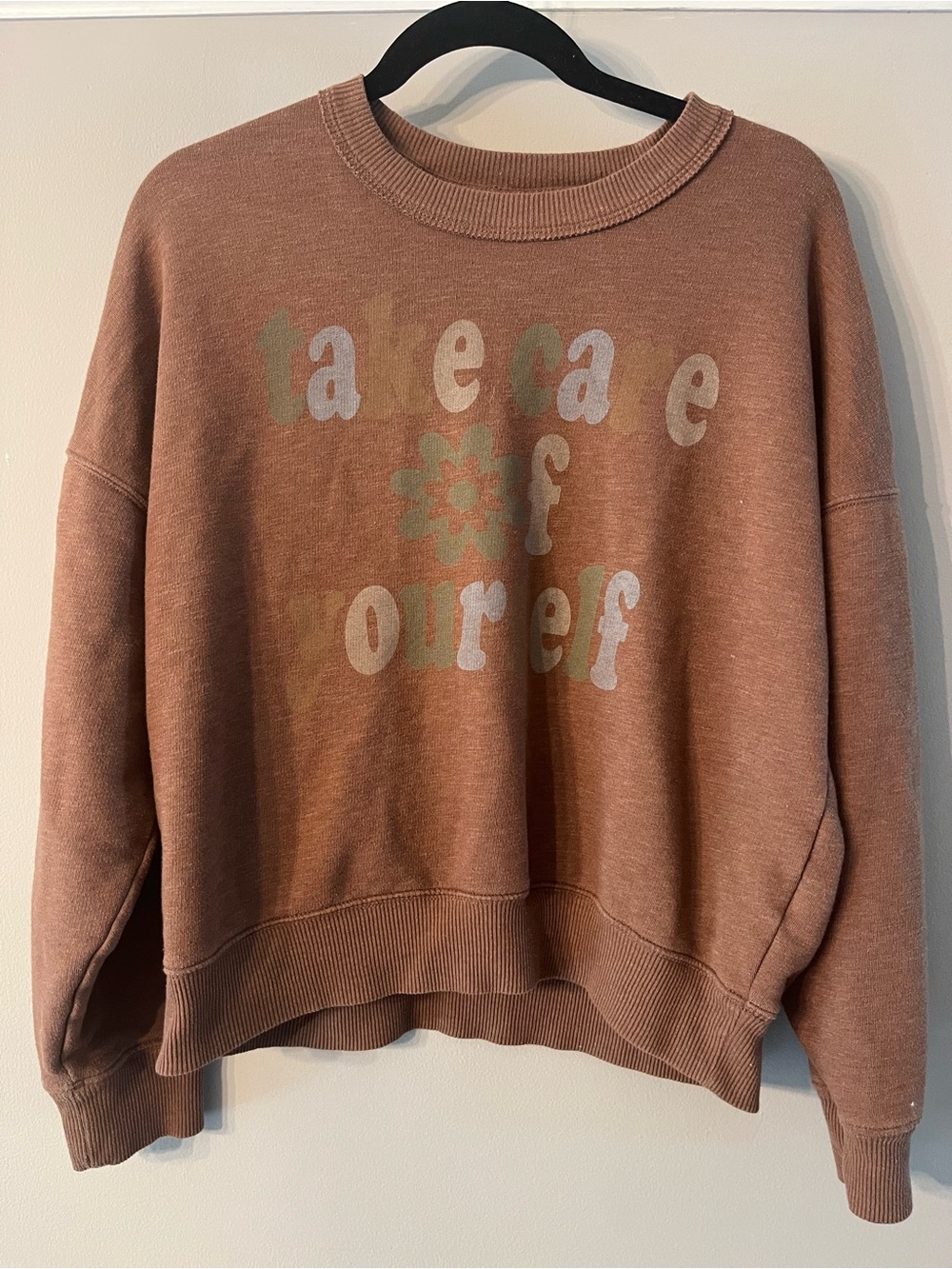 American Eagle Outfitters Rust Brown Graphic Crewneck Sweatshirt